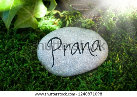 Grey stone lying on moss in the forest with the word Prana