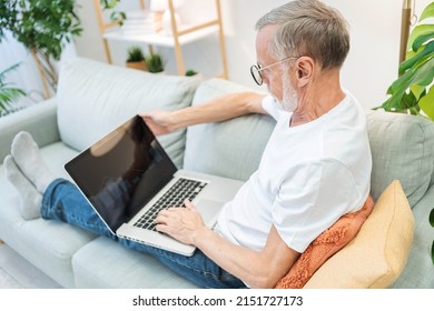 Grey-haired Senior Man Takes Online Courses On Laptop Sitting On Sofa In Living Room. Elderly Person Studies New Profession Using Modern Device. University Of Third Age