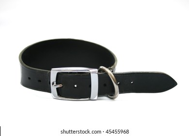 Greyhound Dog Collar Stock Photo 45455968 | Shutterstock