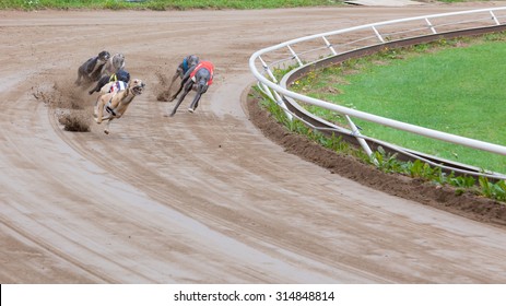 Greyhound Dogs Racing On Sand Track