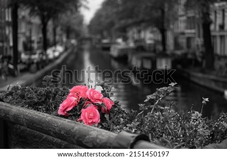 A greyscale selective focus of flowers over a canal in Amsterdam, the Netherlands