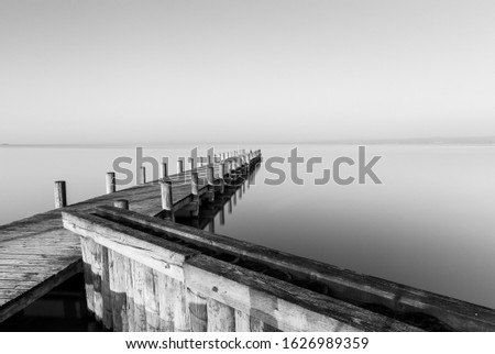 A greyscale shot of a wooden dog near the sea with a foggy background