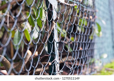 Grid background protection