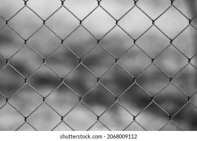 Grid. In The Photo, A Mesh Chain Link On A Gray Background