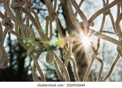 the grid in the rays of sunlight.
