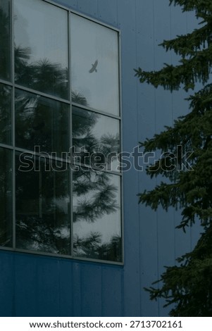 grid window reflecting tree canopy and open sky, large industrial glazing creates mirrored layers of foliage and cloud, subtle bird shapes add dynamic life to architectural surface.