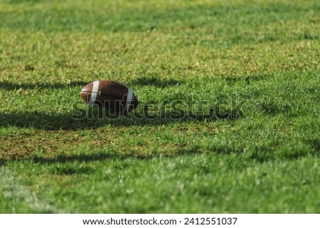 A Gridiron ball, also called a pigskin, on the green grass.