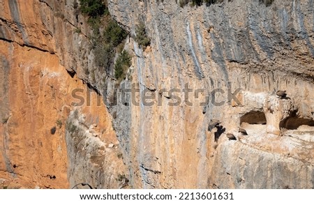 Griffon vultures, Eurasion griffons (Gyps fulvus) nesting on rocky outcrops and caves in the Parque natural de la Sierra y los Cañones de Guara, Spanish Pyrenees