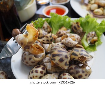 Grilled Areola Spotted Babylon Spicy Seafood Stock Photo 713519626 ...