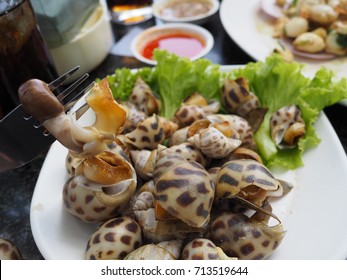 Grilled Areola Spotted Babylon Spicy Seafood Stock Photo 713519644 ...