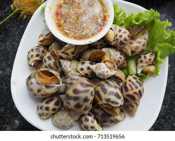 Grilled Areola Spotted Babylon Spicy Seafood Stock Photo 713519656 ...