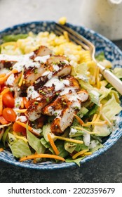 Grilled BBQ Chicken Salad Close-up