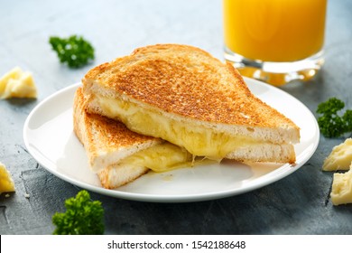 Grilled Cheese Cheddar Sandwich On White Plate