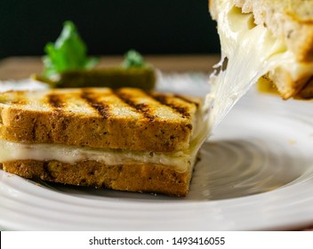 Grilled Cheese Sandwich. Close Up, Dark Background