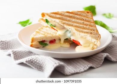 Grilled Cheese And Tomato Sandwich On White Background