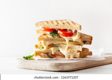 grilled cheese and tomato sandwich on white background