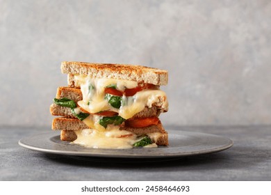 grilled cheese and tomato sandwich on white background - Powered by Shutterstock