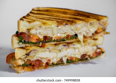 Grilled Chicken Panini Isolated