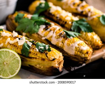 Grilled corn cobs with sauce and coriander. Mexican food.