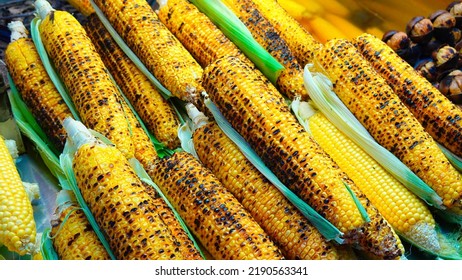 Grilled Corn On The Cob. Close Up. Food Photo