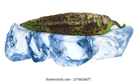 Grilled Or Fire Roasted Green Hatch Chile Freezing On Rough Crushed Ice, Isolated