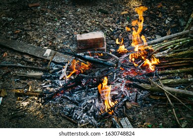 Grilled Fish. Burning Firewood. Daily Life In Rural Vietnam.