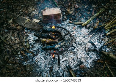 Grilled Fish. Burning Firewood. Daily Life In Rural Vietnam.