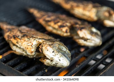 Grilled Fish On The Grill Closeup