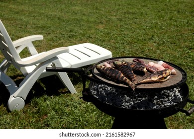 Grilled  Fish Squids And Octopus On Round Grille In Summer Under The Sun On The Green Grass Background And White Rest Beach Chair