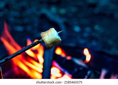 Grilled marshmallow over a campfire during a camping trip