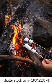 Grilled Marshmallows On The Fire