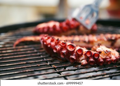 Grilled Octopus