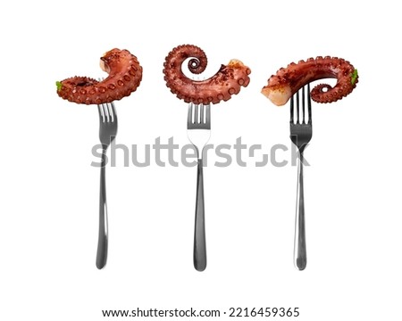 Grilled octopus tentacle on forks isolated. Delicious barbecue seafood on fork, grilled octopus dish with fresh greens on white background