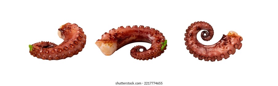 El tentáculo de pulpo a la parrilla está aislado. Delicioso marisco a la barbacoa, plato de pulpo a la parrilla con verduras frescas de fondo blanco