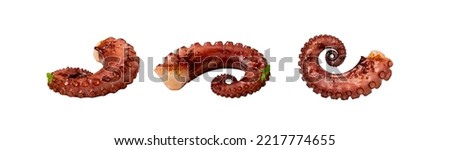 Grilled octopus tentacle set isolated. Delicious barbecue seafood, grilled octopus dish with fresh greens on white background