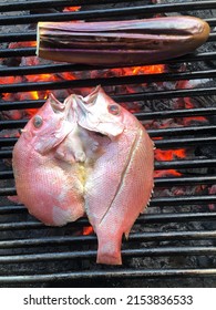 Grilled Red Snapper And Eggplant