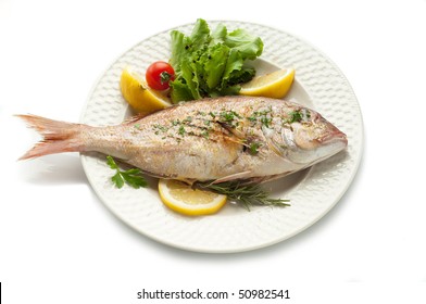 Grilled Red Snapper  On White