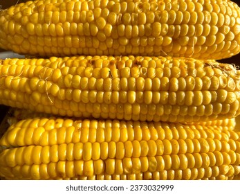Grilled roasted corn close-up as background. Ready snack. The corn on the plate is ready to serve.