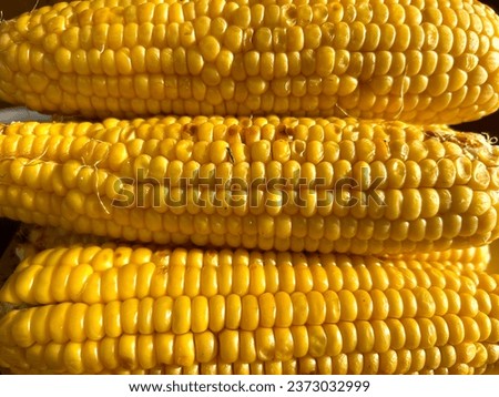Grilled roasted corn close-up as background. Ready snack. The corn on the plate is ready to serve.