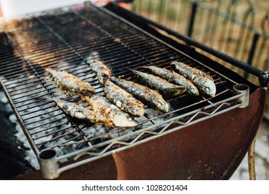 Grilled Sardines During The Saint Anthony Feast In Lisbon