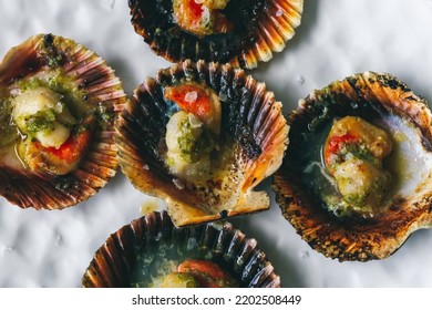 Grilled scallops with olive oil, garlic and parsley. Galician style of scallop dish (Vieira). Typical Zamburiñas dish from Galicia, spain, Delicious Spanish tapas food - Shutterstock ID 2202508449