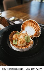 Grilled scallops in a shell with a crispy breadcrumb topping, adorned with fresh microgreens. Gourmet seafood appetizer presented on a black plate with a bed of salt.