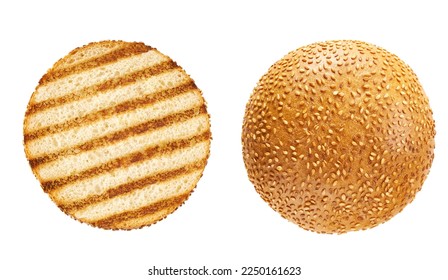 Grilled sesame seed hamburger bun isolated on white background, top view. Different sides and parts. Roasted toasted burger bun.
