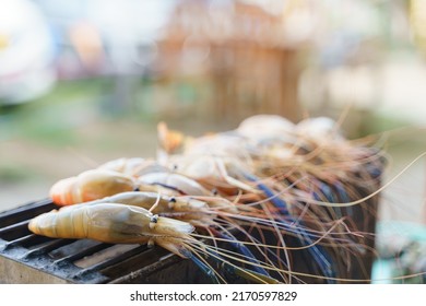 Grilled Shrimp, Prawn Barbecue Over Asian Red Hot Charcoal Stove