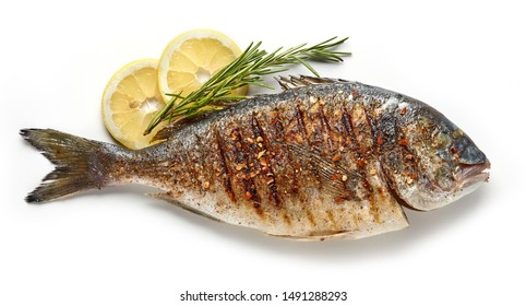 grilled spicy fish isolated on white background, top view