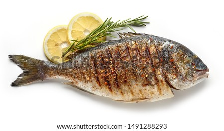 grilled spicy fish isolated on white background, top view