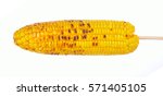 Grilled sweet corn cob isolated on white