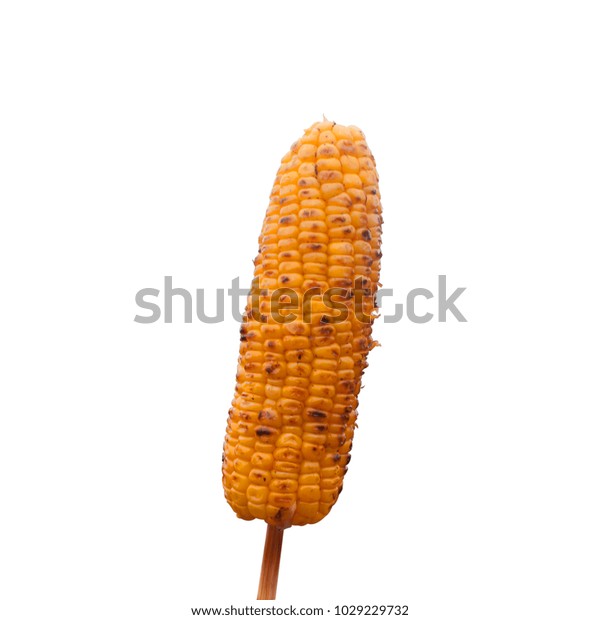 Grilled Sweet Corn Cob Isolated On Stock Photo 1029229732 | Shutterstock