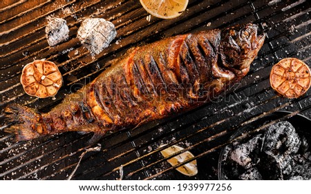 Grilled trout fish over the coals on a barbecue, dark background with light of fire. Top view