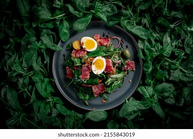 Grilled Tuna Slices With Fried Lettuce Leaves, Vegetables, Olives And Sesame Seeds In A Plate On A Background Of Basil Leaves. Asian Fish Dish Of Tuna Fillet, Top View